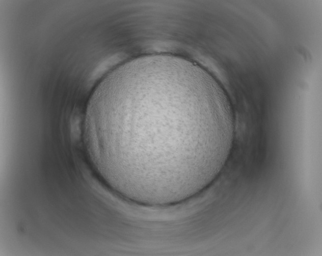 X0000114220010200910231452