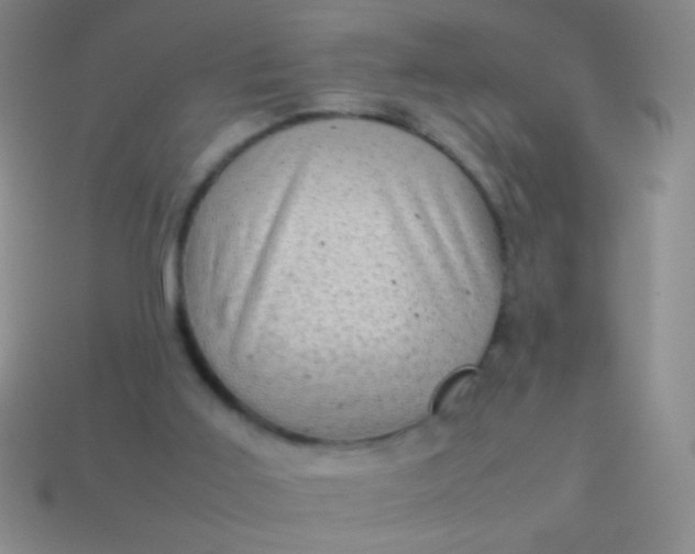 X0000114220011200910231452