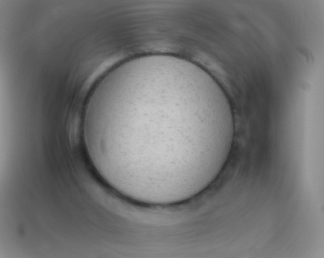 X0000114220012200910231452