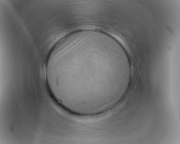 X0000114220013200910231452