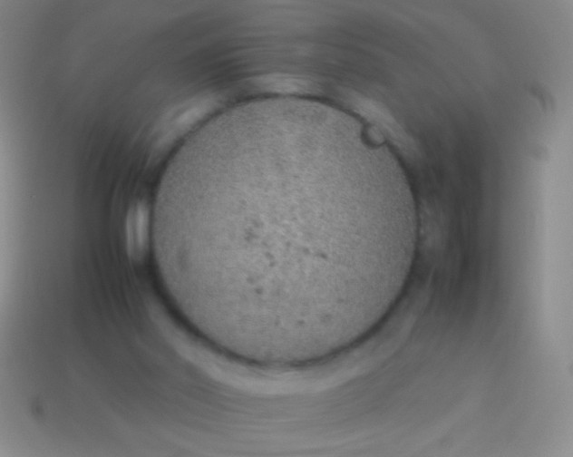 X0000114220014200910231452