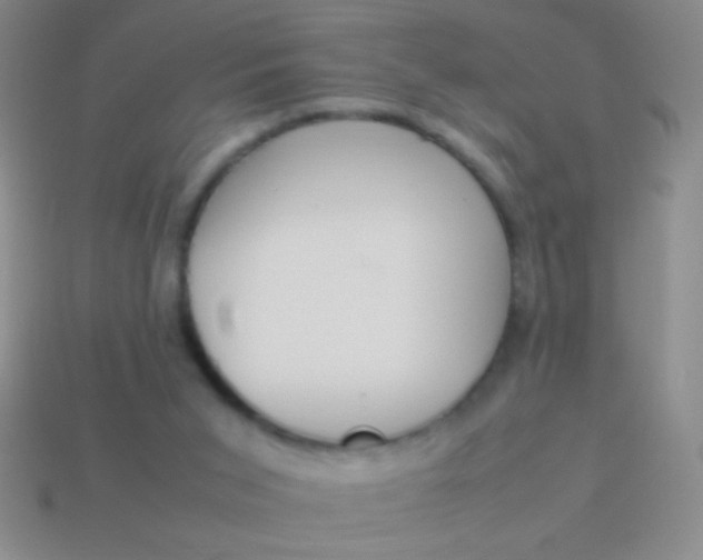 X0000114220015200910231452