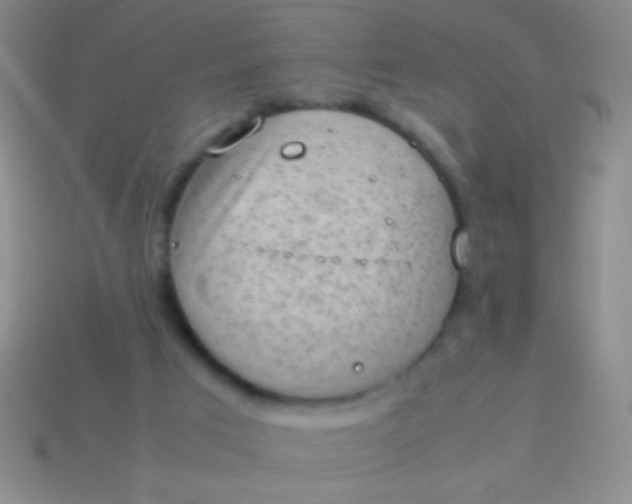 X0000114220017200910231452