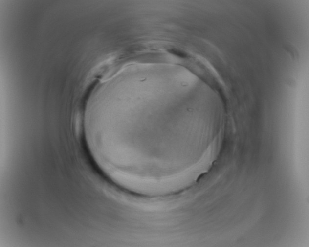 X0000114220019200910231452