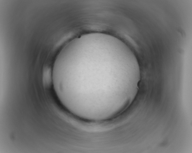 X0000114220020200910231452