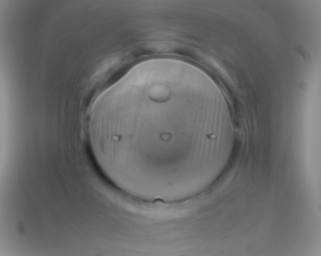 X0000114220023200910231452