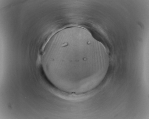 X0000114220027200910231452