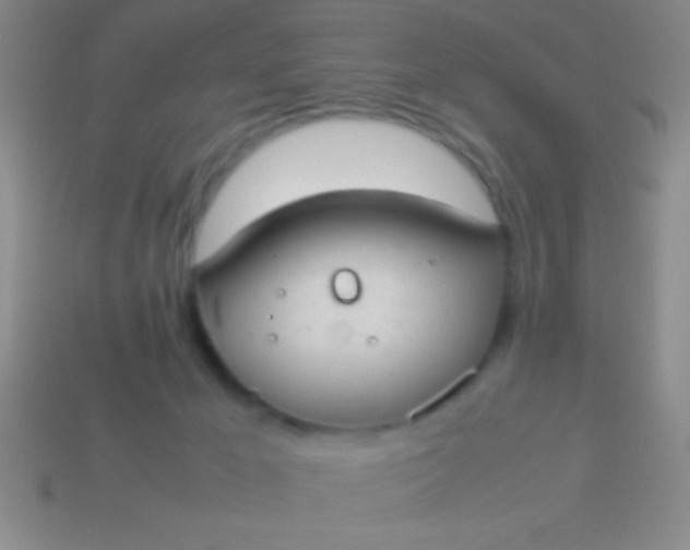 X0000114220029200910231452