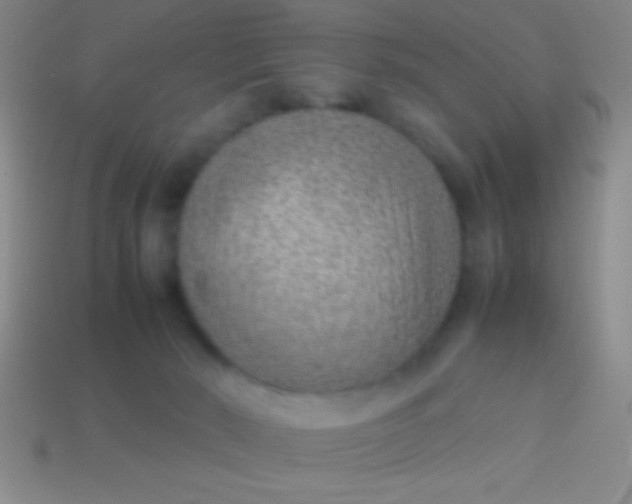 X0000114220030200910231452