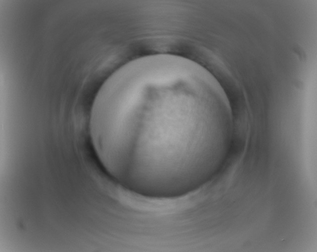 X0000114220031200910231452