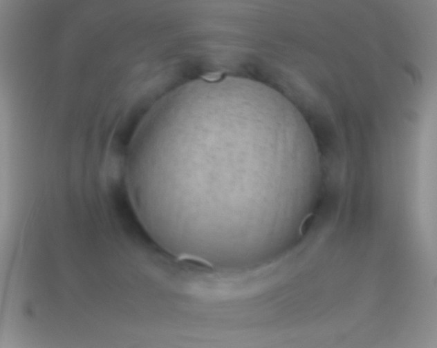 X0000114220033200910231452