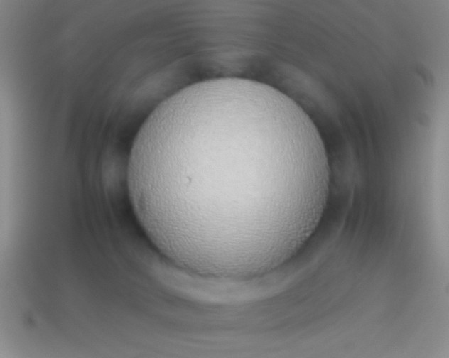 X0000114220034200910231452