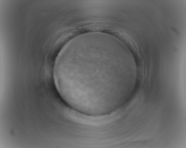 X0000114220035200910231452