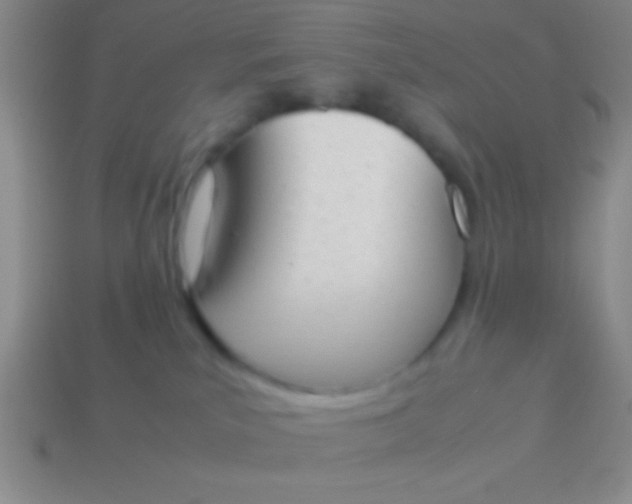 X0000114220039200910231452