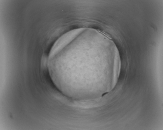 X0000114220041200910231452