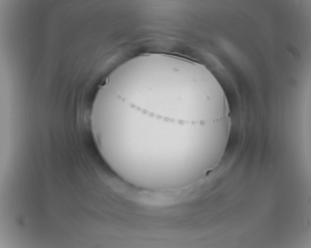 X0000114220045200910231452