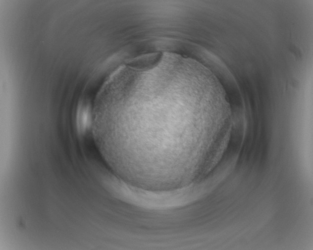 X0000114220046200910231452