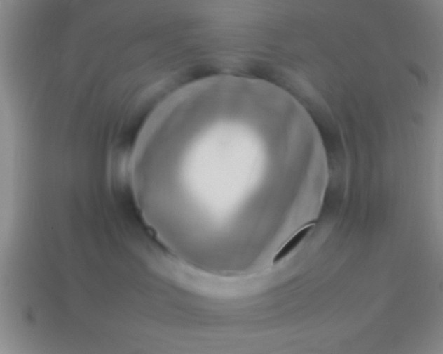 X0000114220047200910231452