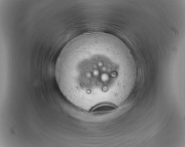 X0000114220048200910231452