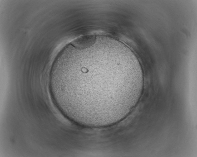 X0000114220049200910231451