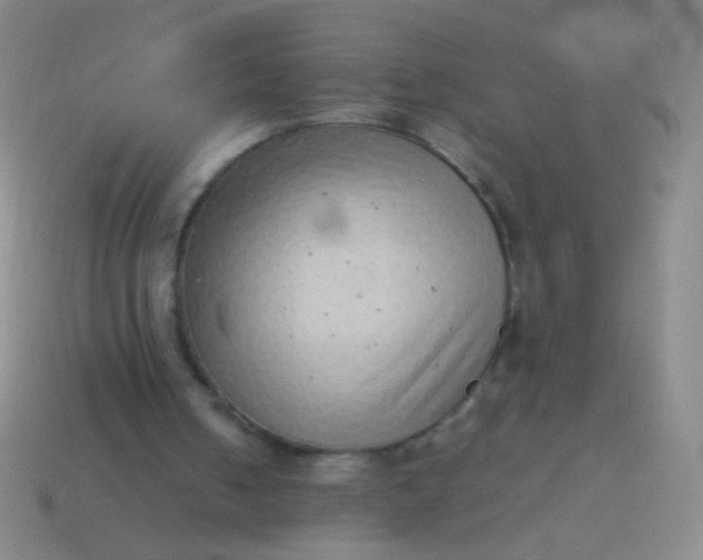 X0000114220050200910231451