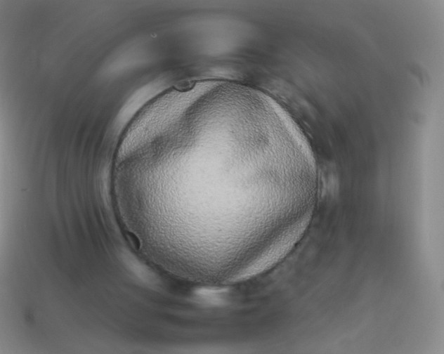 X0000114220051200910231451