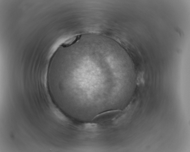 X0000114220052200910231451