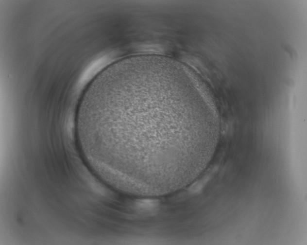 X0000114220053200910231451