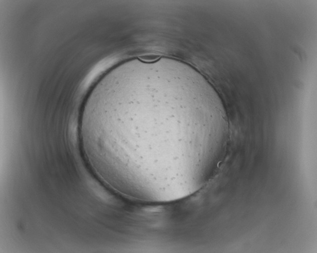 X0000114220054200910231451