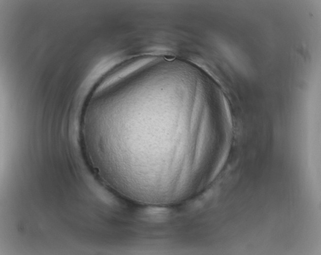 X0000114220055200910231451