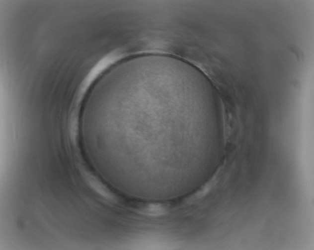 X0000114220056200910231451