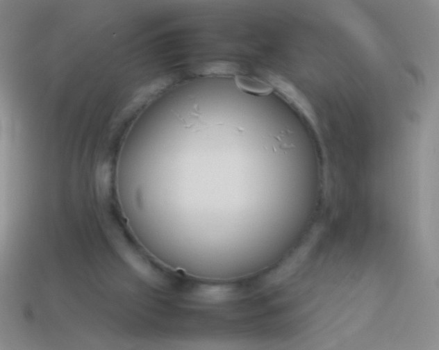 X0000114220057200910231451