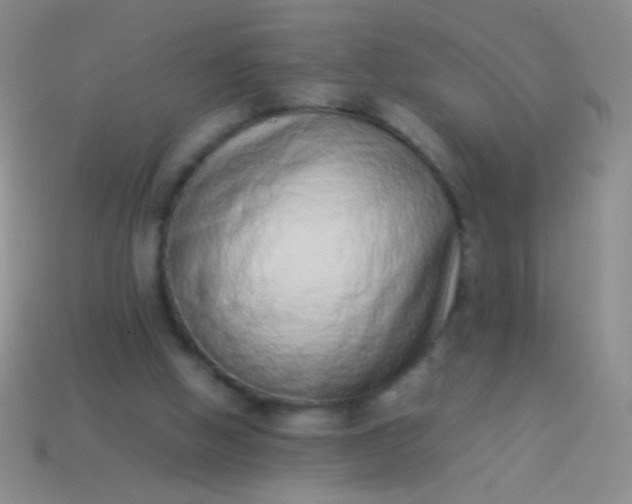 X0000114220058200910231451