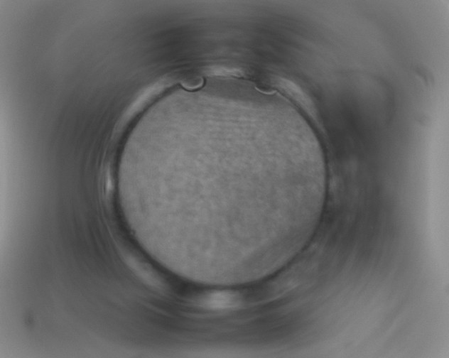 X0000114220059200910231451