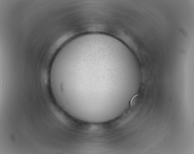 X0000114220060200910231451