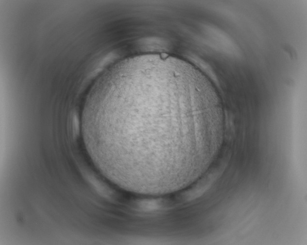 X0000114220061200910231451