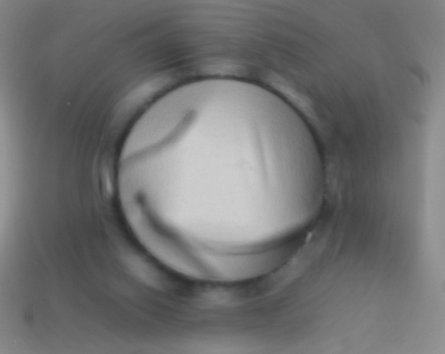 X0000114220062200910231451