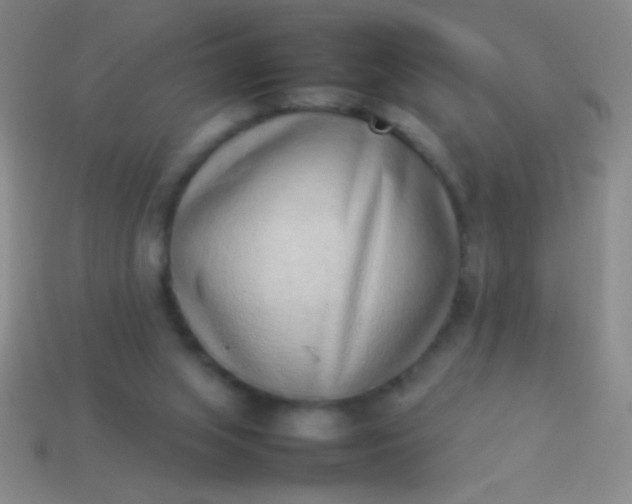 X0000114220063200910231451