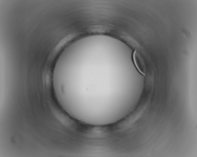 X0000114220064200910231451