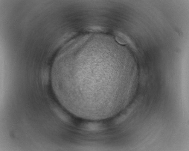 X0000114220065200910231451