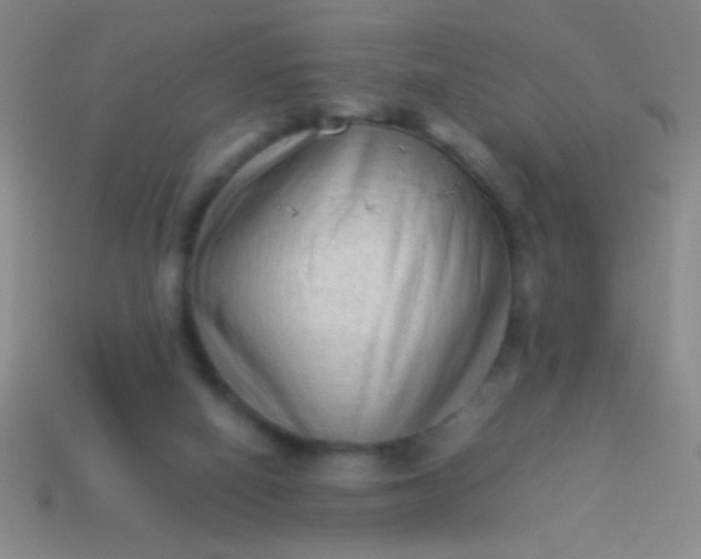 X0000114220066200910231451