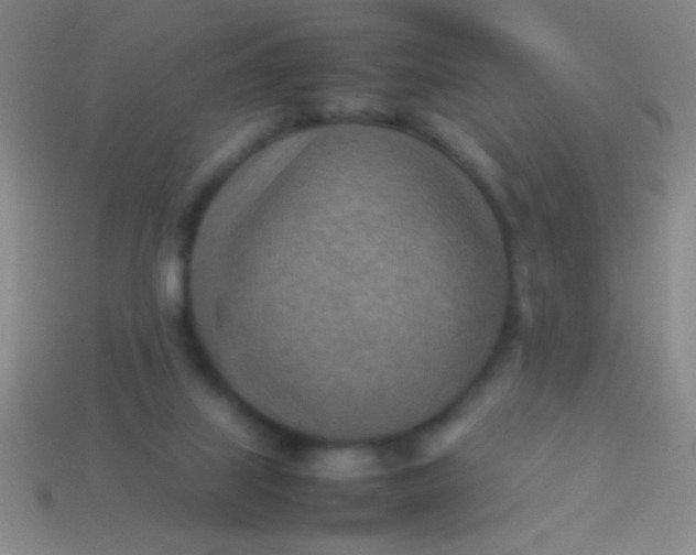 X0000114220067200910231451