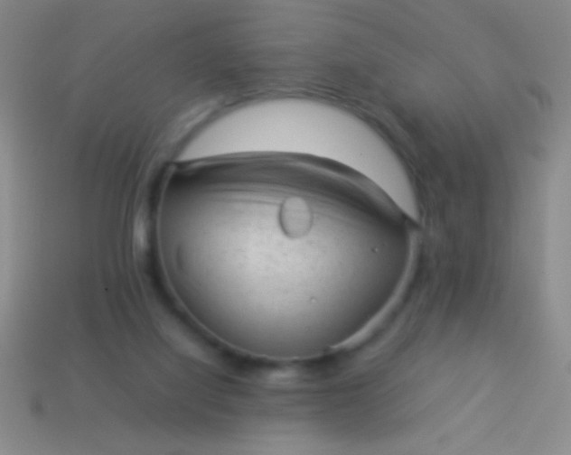 X0000114220068200910231451