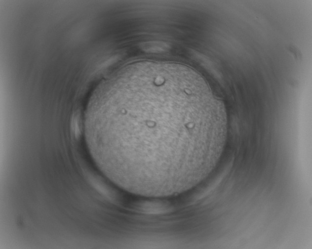 X0000114220069200910231451