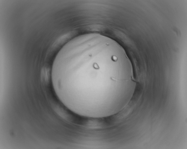 X0000114220070200910231451