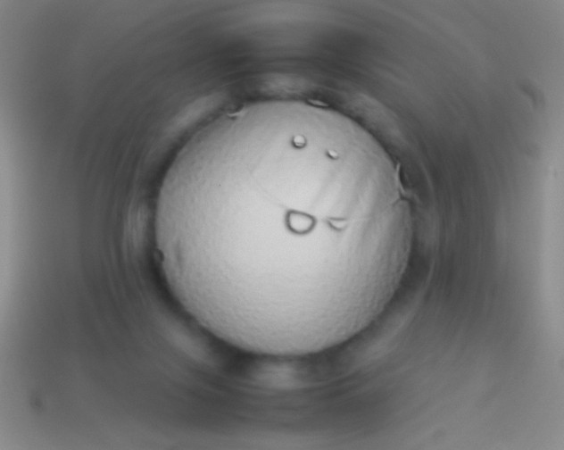 X0000114220071200910231451