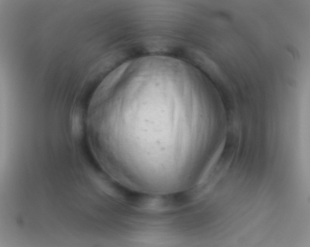 X0000114220074200910231451