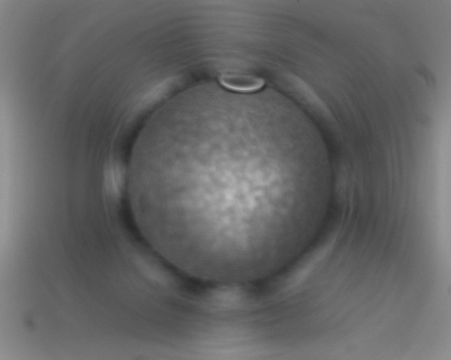 X0000114220076200910231451