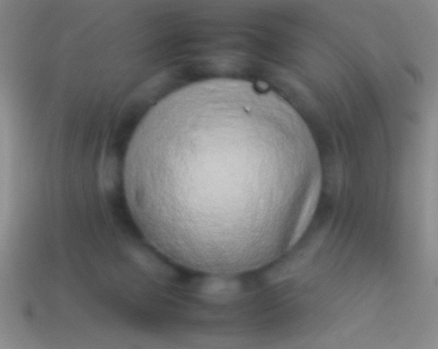 X0000114220077200910231452