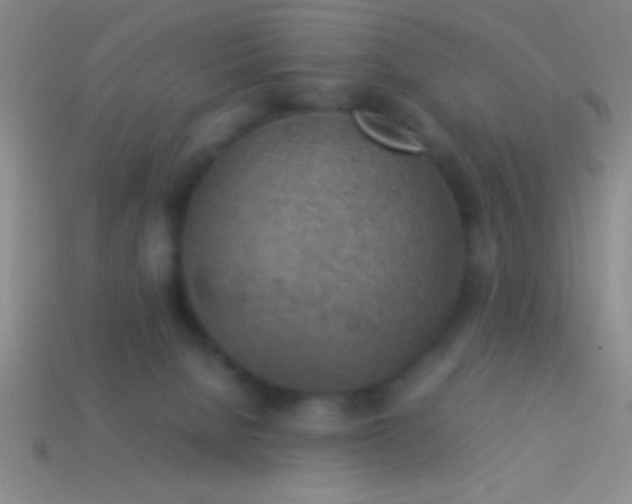 X0000114220080200910231452